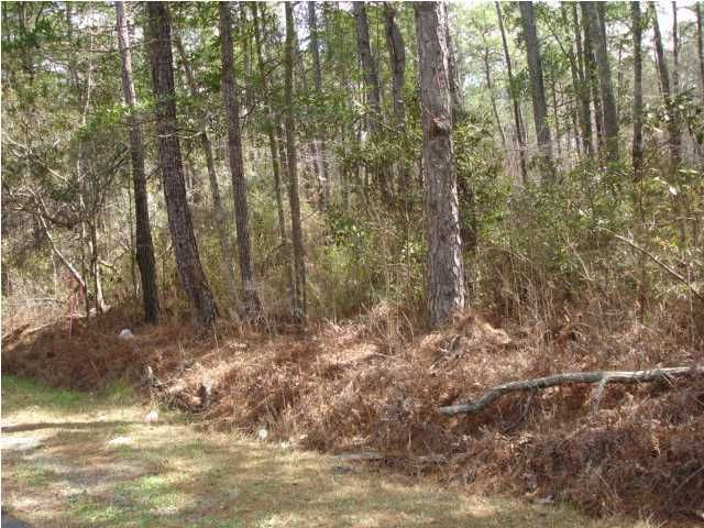 6121 Fox Dr, Ravenel, SC 29470