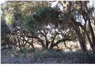 1204 Smythe St, Charleston, SC 29492