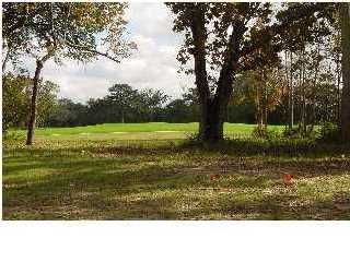 136 Balfour Dr, Charleston, SC 29492