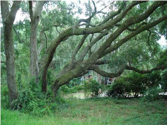 0 Chantilly Ln, North Charleston, SC 29418