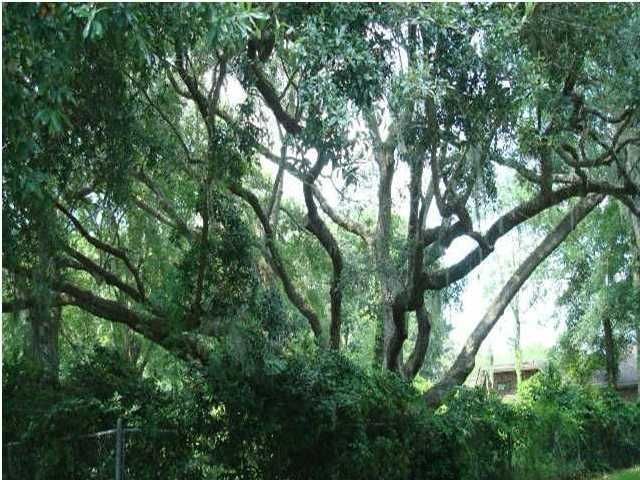 0 Chantilly Ln, North Charleston, SC 29418