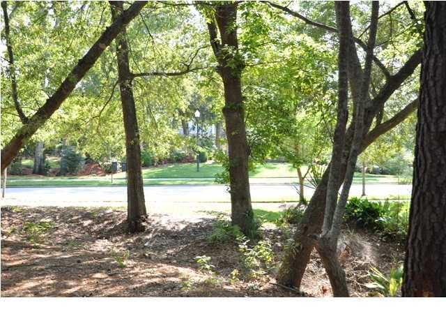 353 Ralston Creek St, Charleston, SC 29492