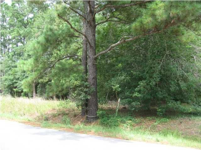 1 Walter Dr, Johns Island, SC 29455