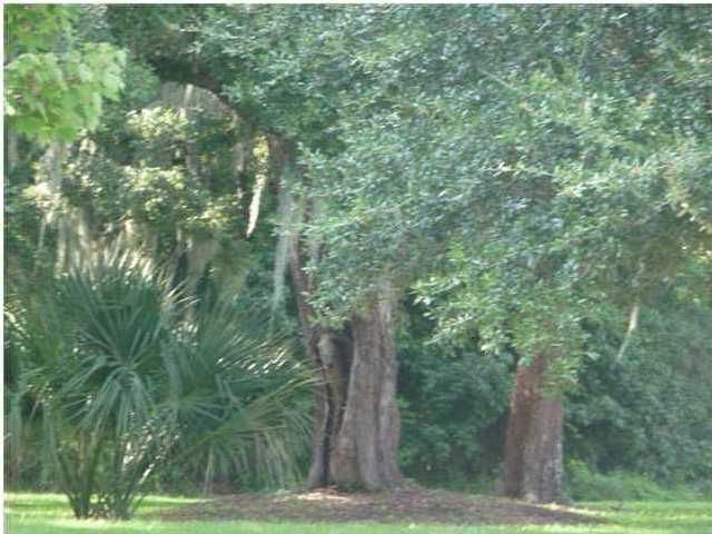 57 Woodford St, Charleston, SC 29492