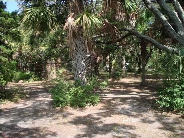 10 Hammocks Way, Edisto Island, SC 29438