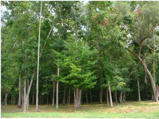 8648 Mcchune Ct, Charleston, SC 29420