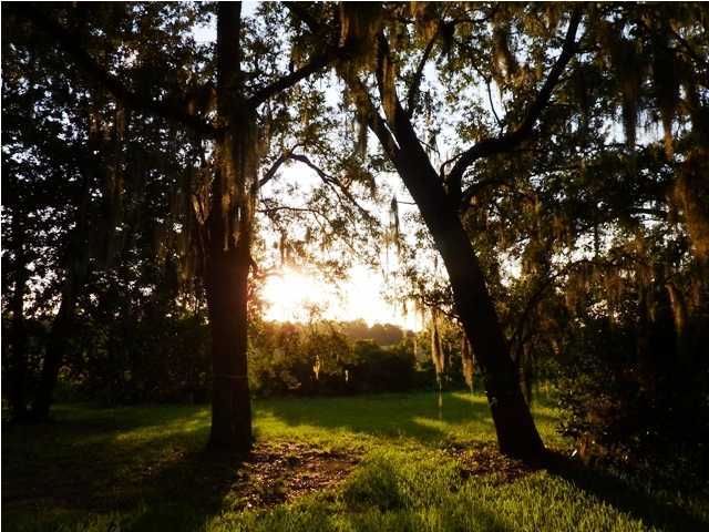 0 Wilshire Dr, Charleston, SC 29407