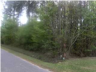 254 Koger Dr, Summerville, SC 29483