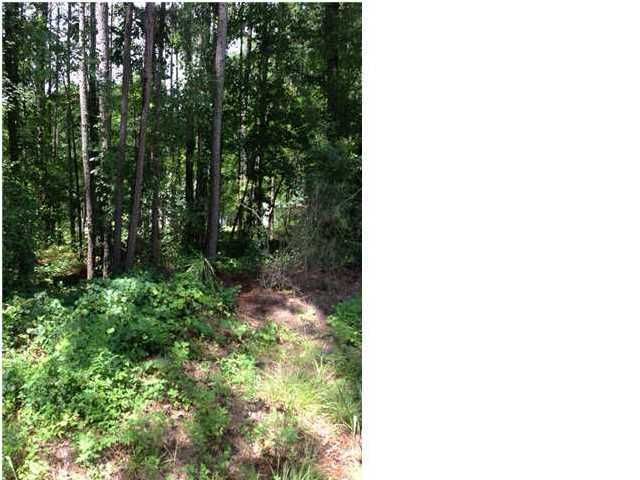 0 Marjoram, Summerville, SC 29483