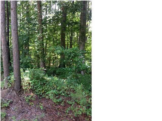 0 Marjoram, Summerville, SC 29483