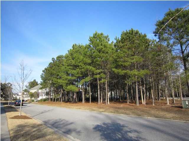 116 Iron Bottom Ln, Charleston, SC 29492