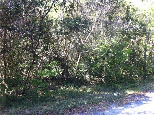 0 Roberts Rd, Charleston, SC 29412