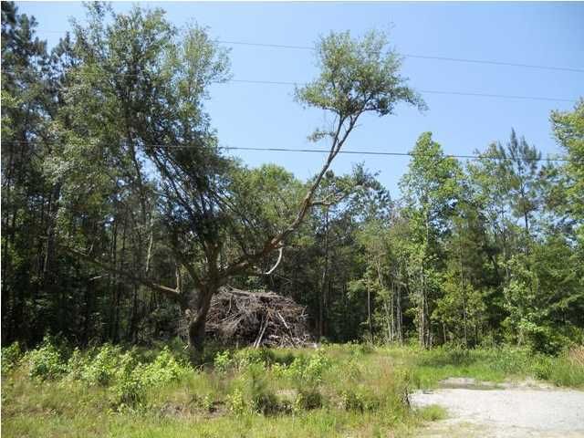 0 Knight Dr, Summerville, SC 29485