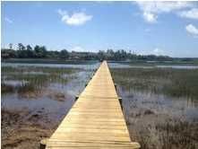 2733 Parkers Landing Rd, Mount Pleasant, SC 29466