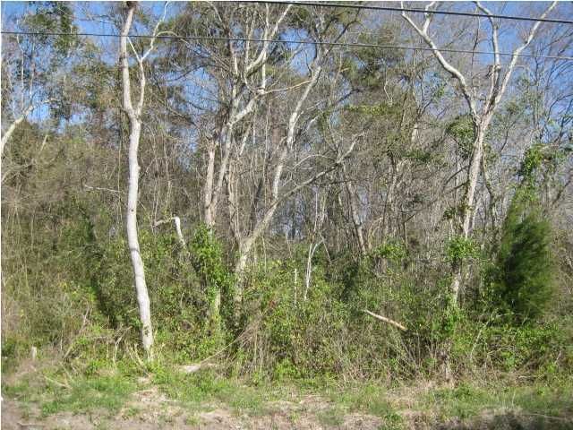 0 Pauline Ave, Charleston, SC 29412