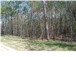 3658 Coastal Crab Rd, Mount Pleasant, SC 29466
