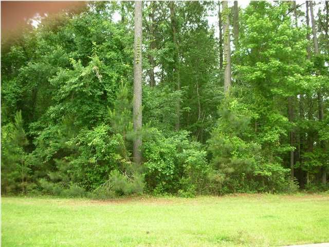 2381 Darts Cove Way, Mount Pleasant, SC 29466