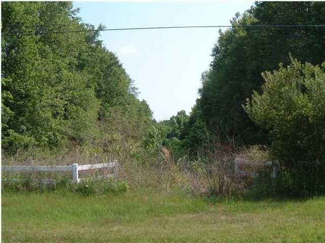 0 Manor Rd, Hollywood, SC 29449