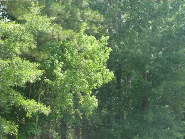 2404 Darts Cove Way, Mount Pleasant, SC 29466
