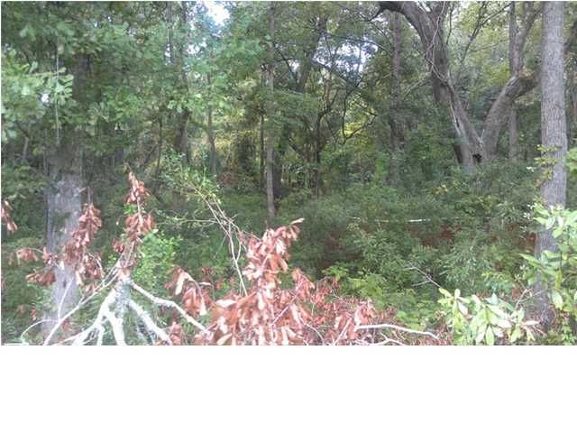1051 Bradbury Ln, Charleston, SC 29492