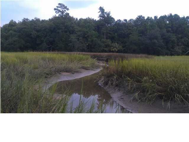 1051 Bradbury Ln, Charleston, SC 29492