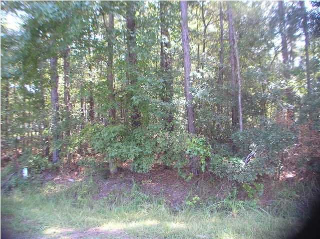 0 Swanson Dr, Summerville, SC 29483