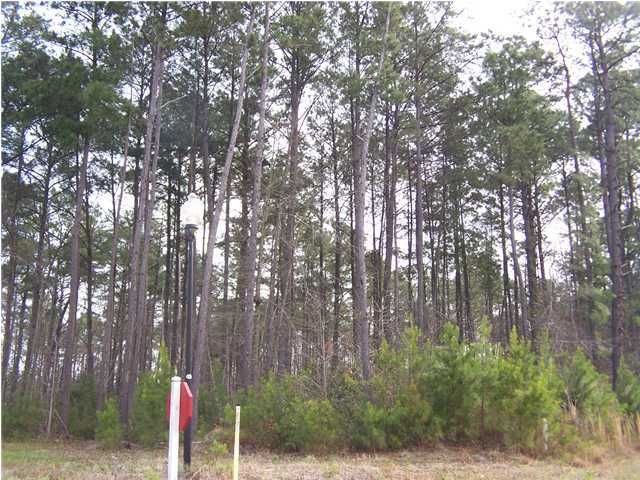 112 King Mountain Dr, Summerville, SC 29483