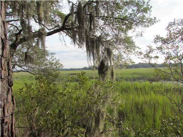 0 Cape Palmetto Trl, Edisto Beach, SC 29438
