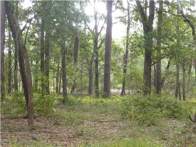 3 Cape Palmetto Trl #3B, Edisto Island, SC 29438