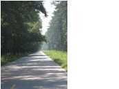 4230 Lady Banks Ln, Hollywood, SC 29470