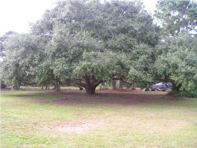 0 Mcclain St, Charleston, SC 29407