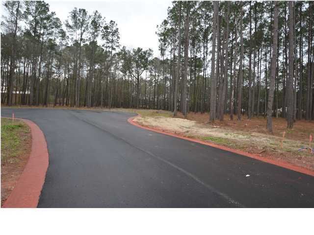 4 Pinopolis Park Dr, Moncks Corner, SC 29461