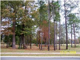 487 Shadowmoss Pky, Charleston, SC 29414