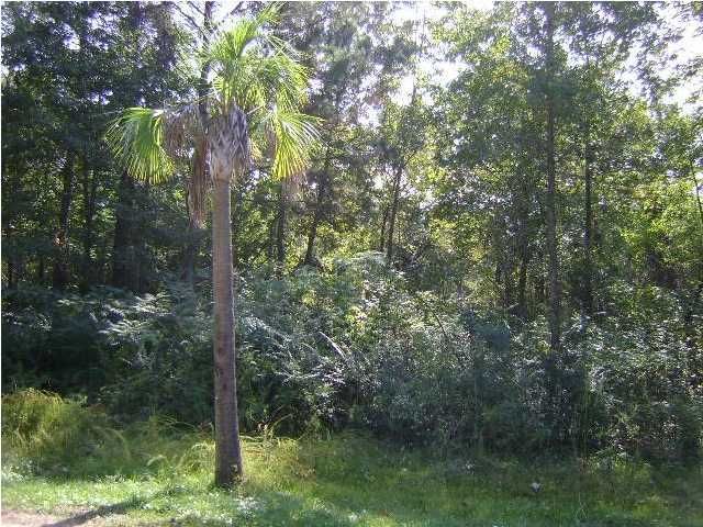 0 James Bay Rd, Charleston, SC 29455