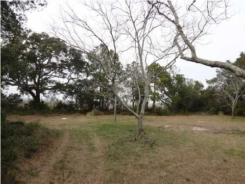 2668 Goldbug Ave, Sullivans Island, SC 29482