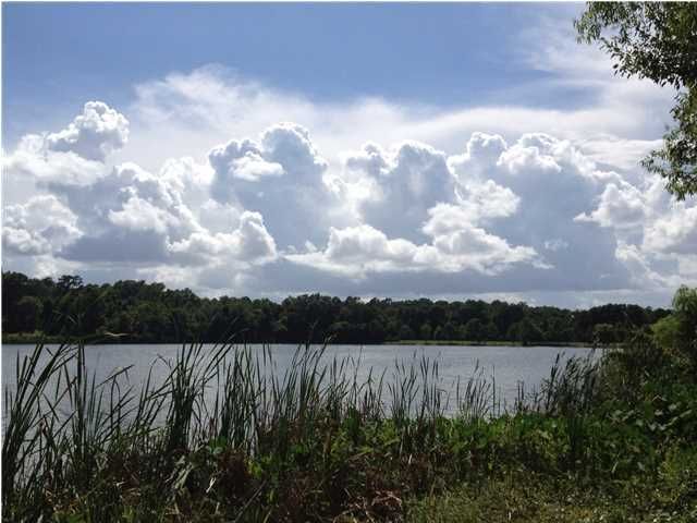 136 Loganberry Cir, Goose Creek, SC 29445