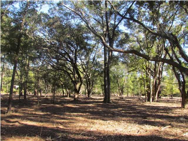 0 Palmetto Rd #A4 A, Edisto Island, SC 29438