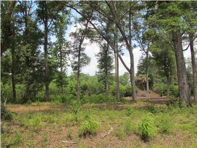 0 Palmetto Rd #A4B, Edisto Island, SC 29438