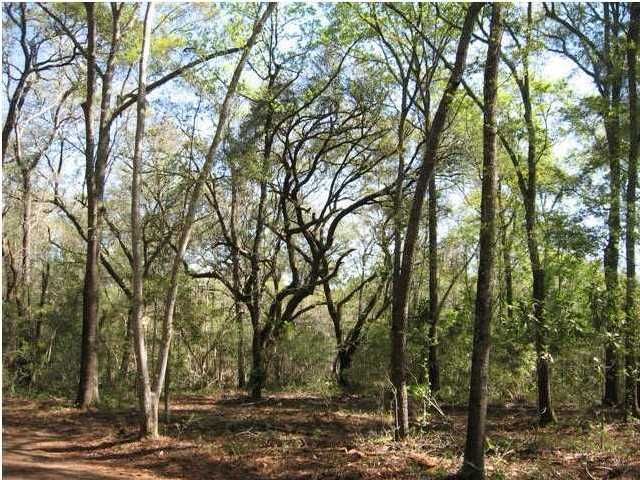 8270 Beach Farm Ln #6, Edisto Island, SC 29438