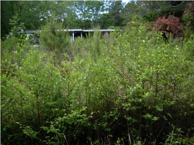 5585 Highway 165, Ravenel, SC 29470