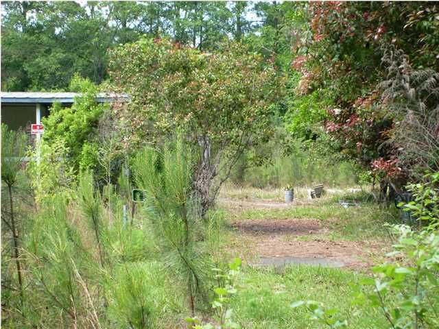 5585 Highway 165, Ravenel, SC 29470