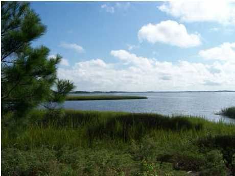 429 Ralston Creek St, Charleston, SC 29492