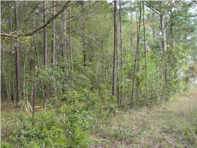 0 Marshfield Rd, Charleston, SC 29455