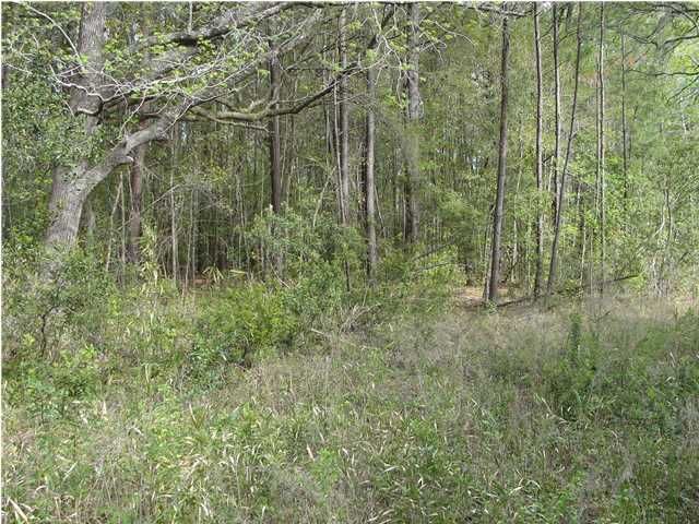 0 Marshfield Rd, Charleston, SC 29455