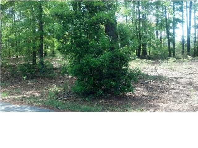1492 Coles Rd, Johns Island, SC 29455