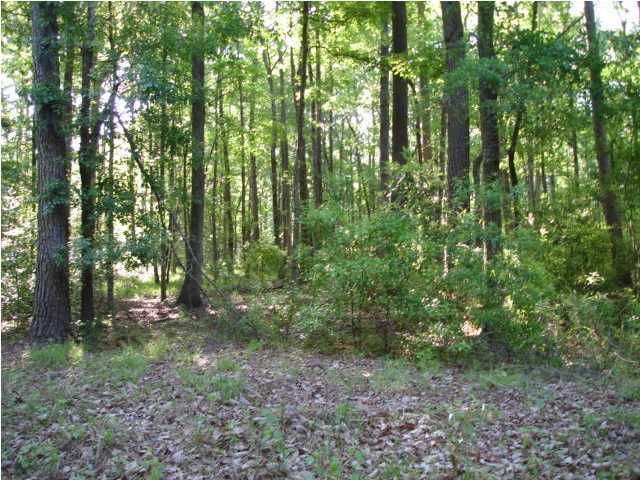 1 Dogwood Ridge Rd, Summerville, SC 29485
