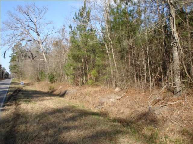 1 Dr Taylor Rd, Adams Run, SC 29449