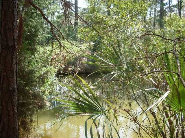 3041 Pignatelli Crescent, Mount Pleasant, SC 29466