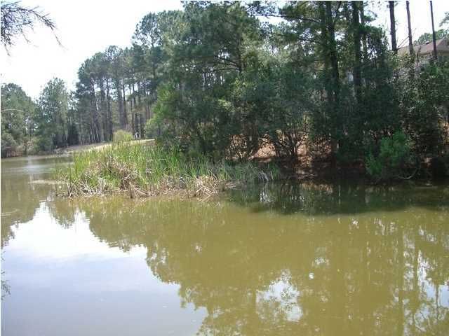 3041 Pignatelli Crescent, Mount Pleasant, SC 29466