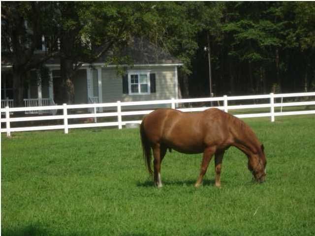 2 Golden Rice Ln, Ravenel, SC 29470